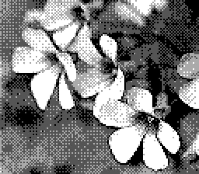 20 4月 24