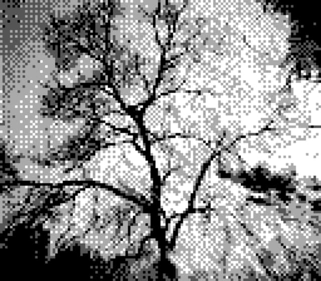 06 4月 24