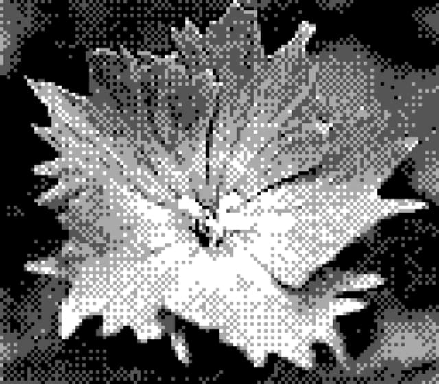 20 4月 24