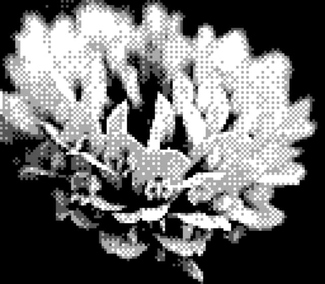 20 4月 24