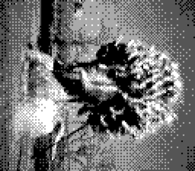 31 3月 24