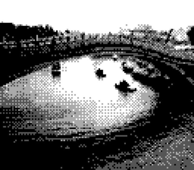 06 4月 24