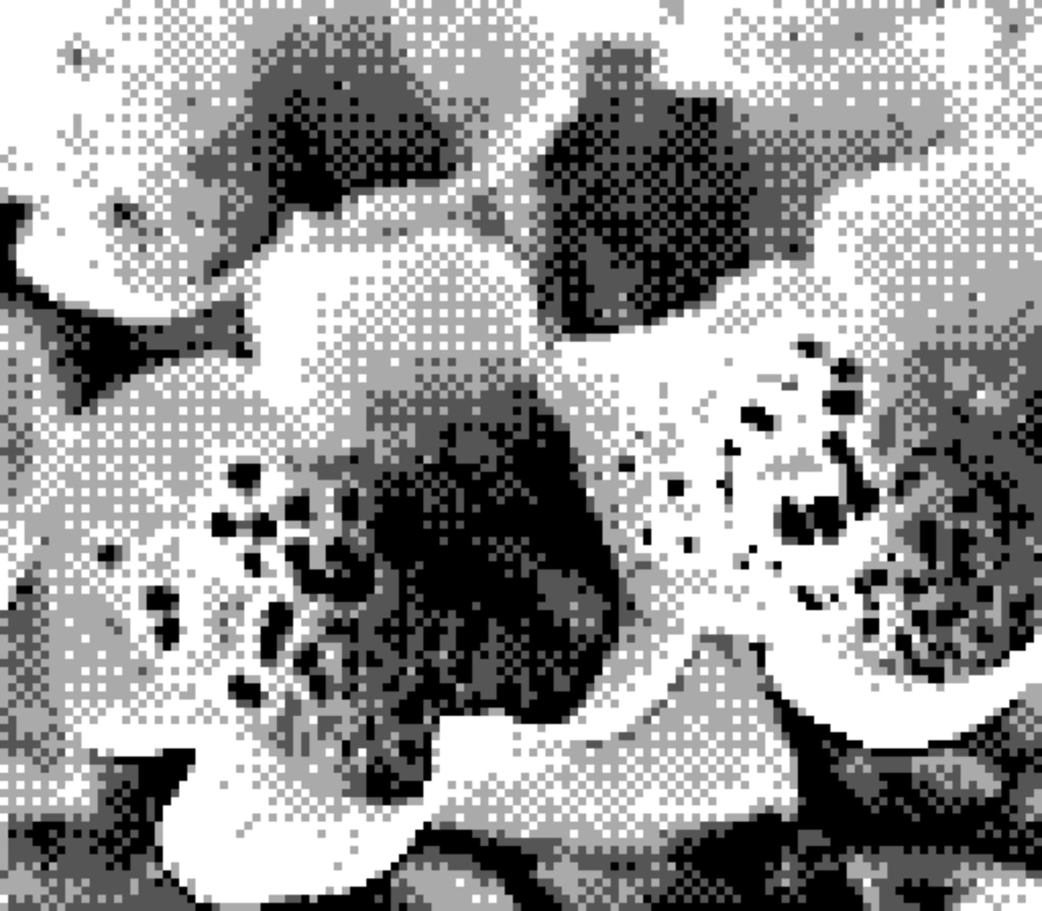 20 4月 24