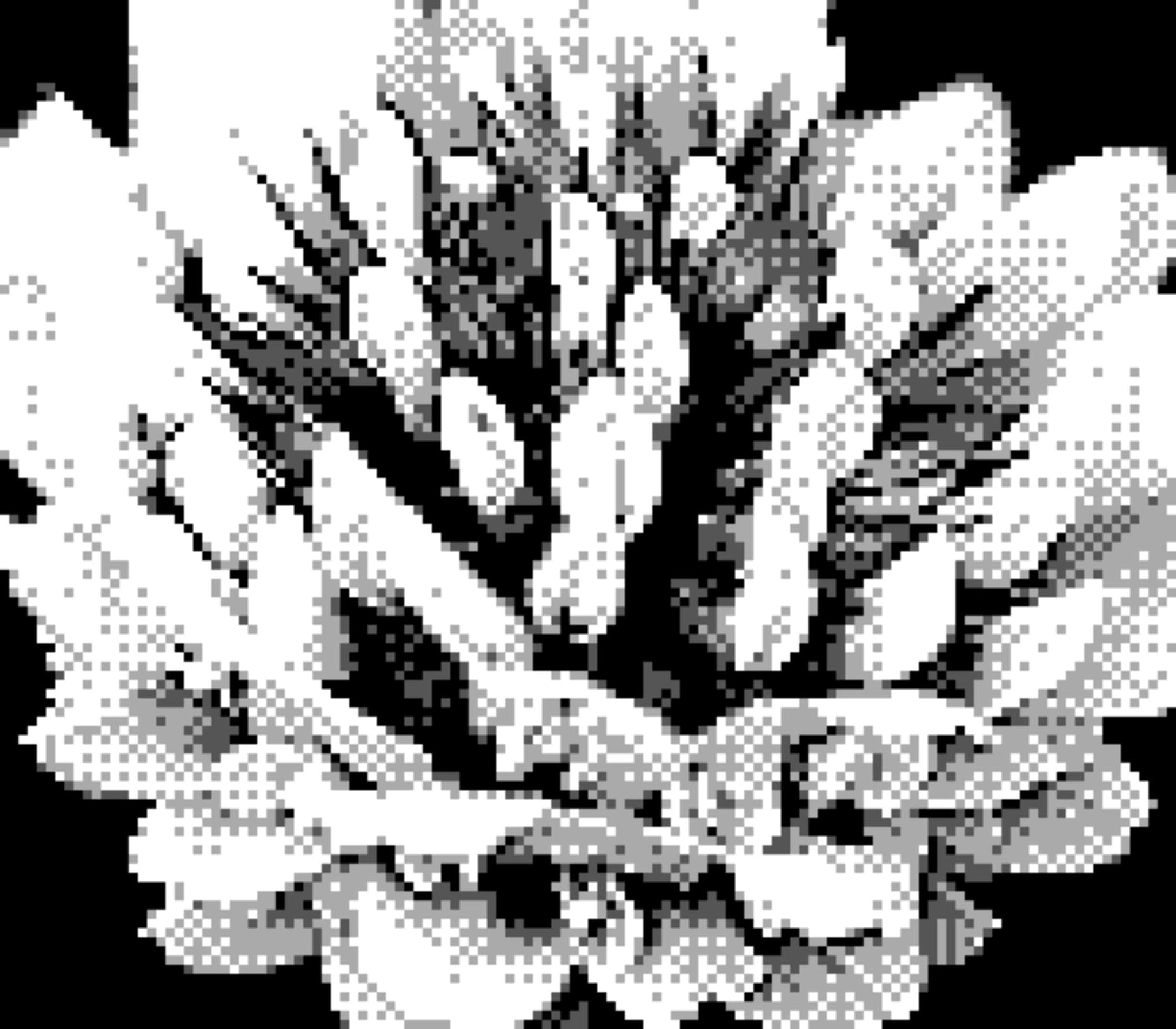 20 4月 24
