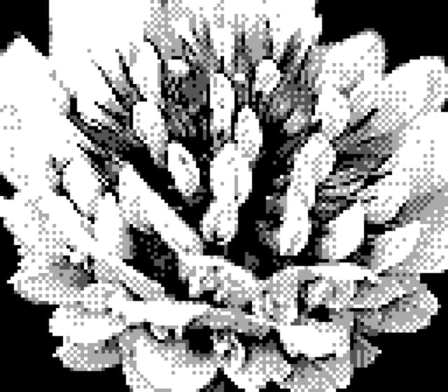 20 4月 24
