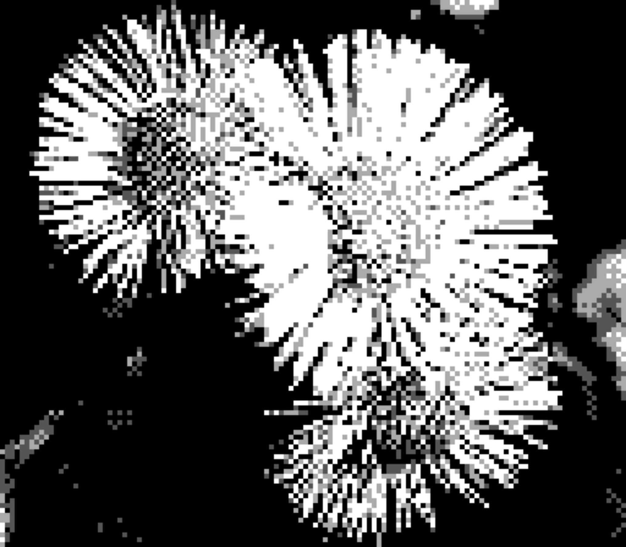20 4月 24