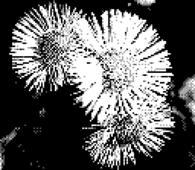 20 4月 24