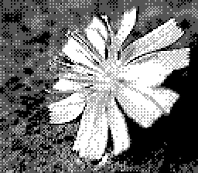 20 4月 24
