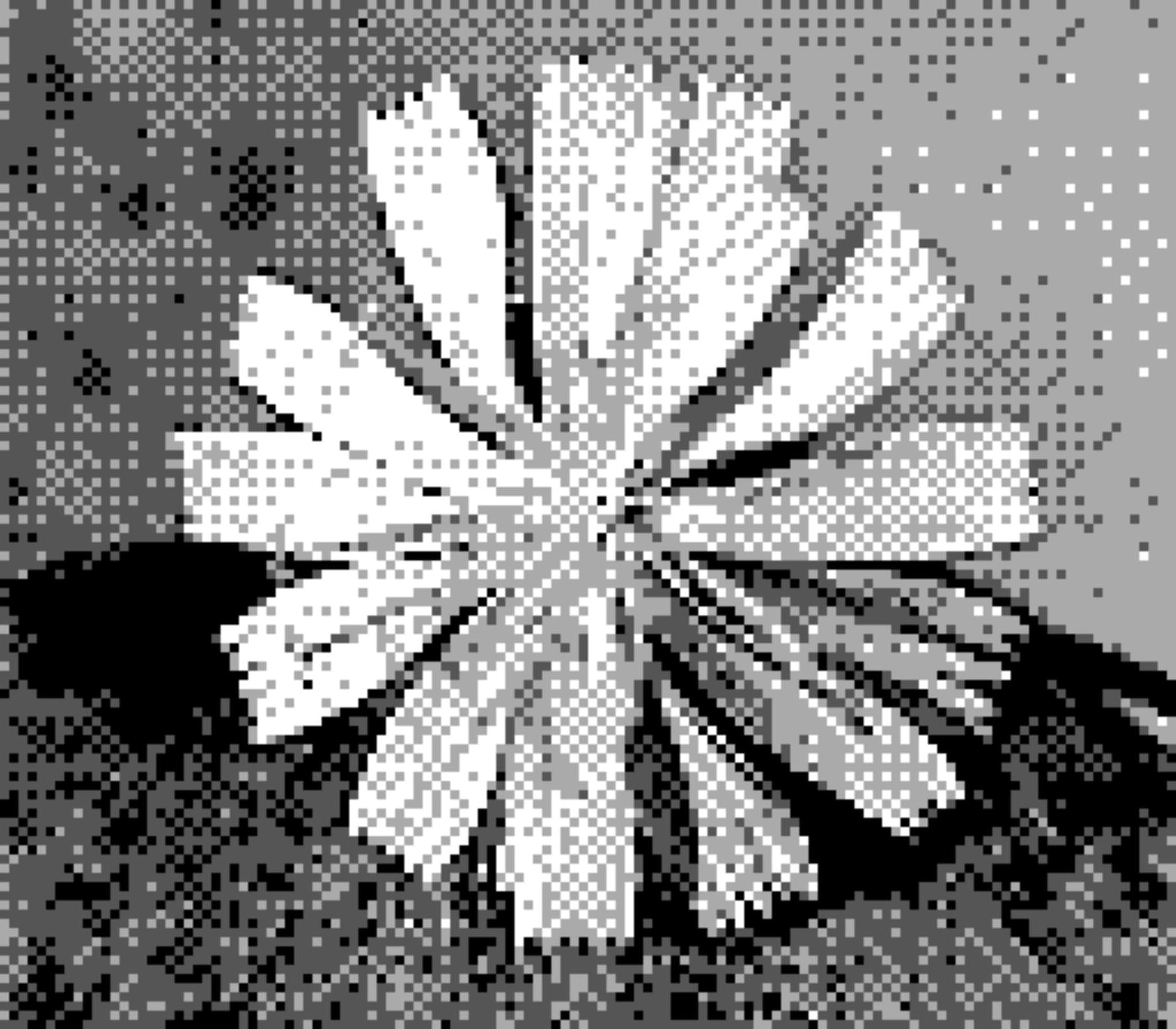 20 4月 24