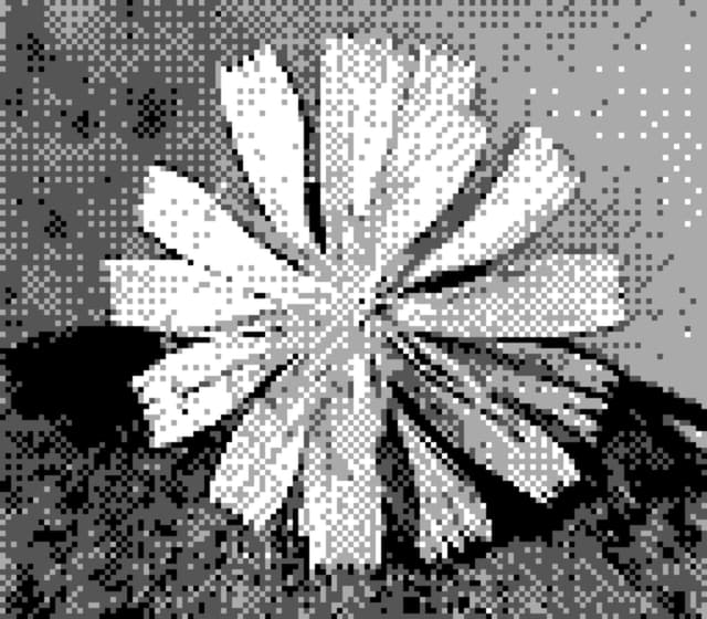 20 4月 24
