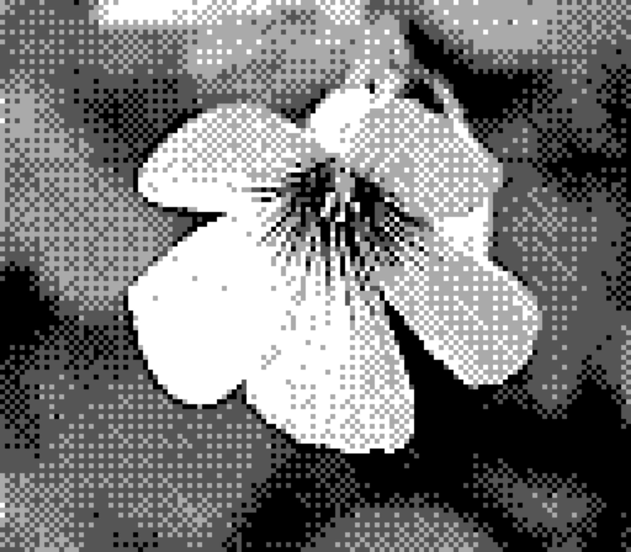 20 4月 24