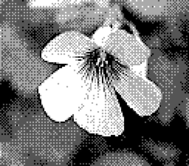 20 4月 24