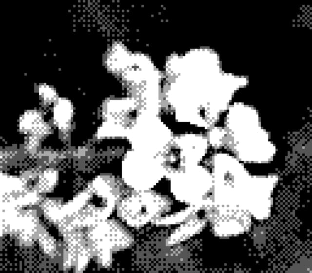 20 4月 24