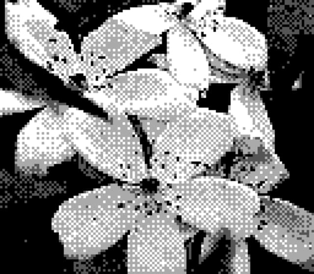 20 4月 24