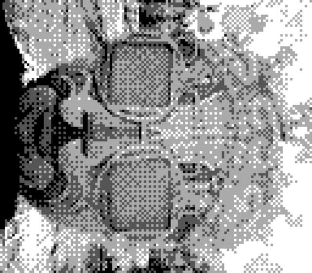 31 3月 24