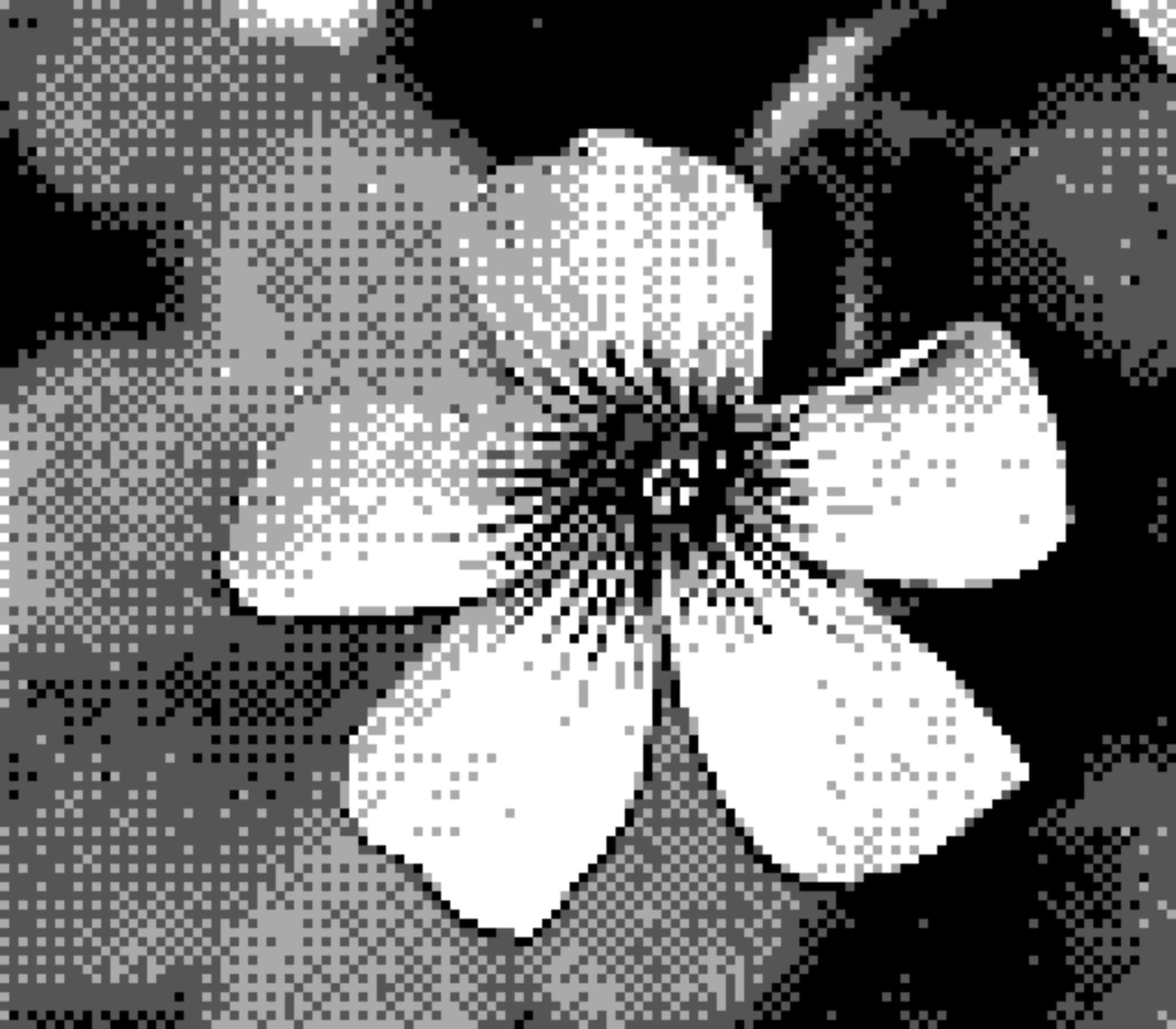 20 4月 24